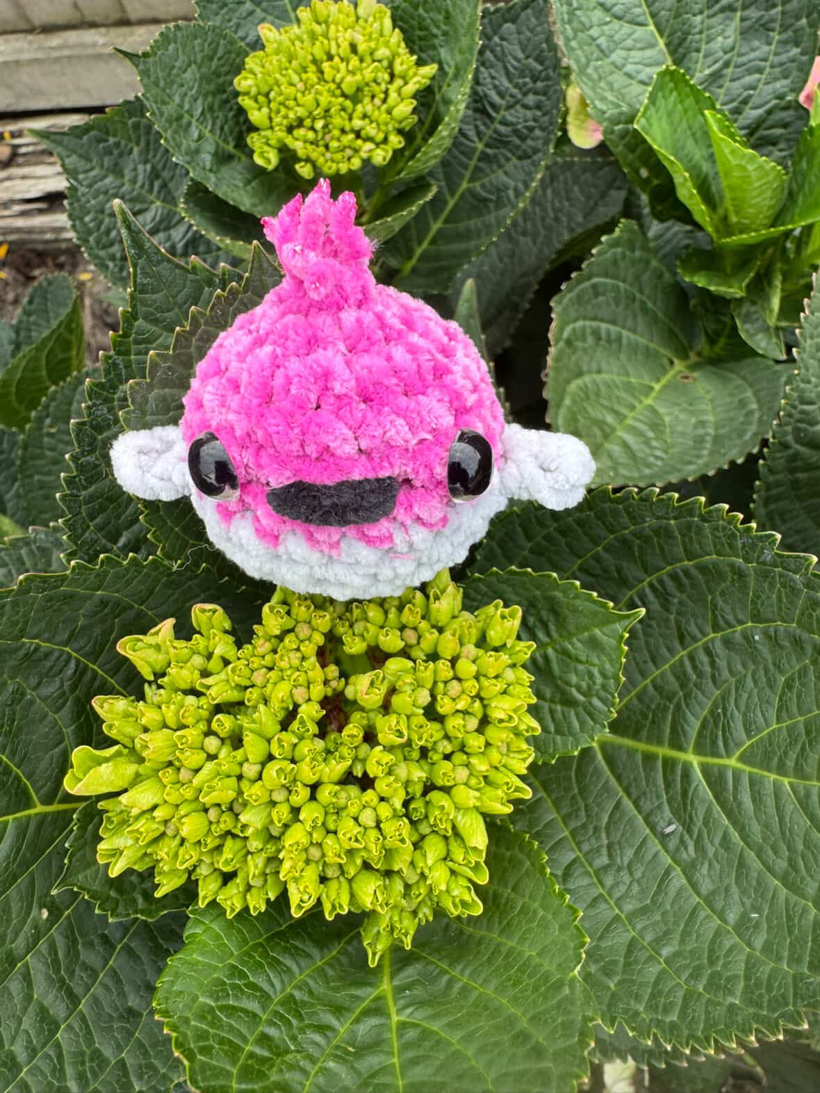 PDF Pattern - Charlotte the Baby Bird