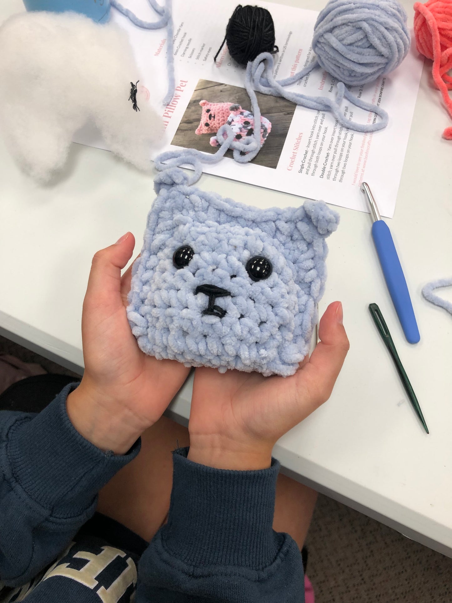 PDF pattern Mini Pillow Pet