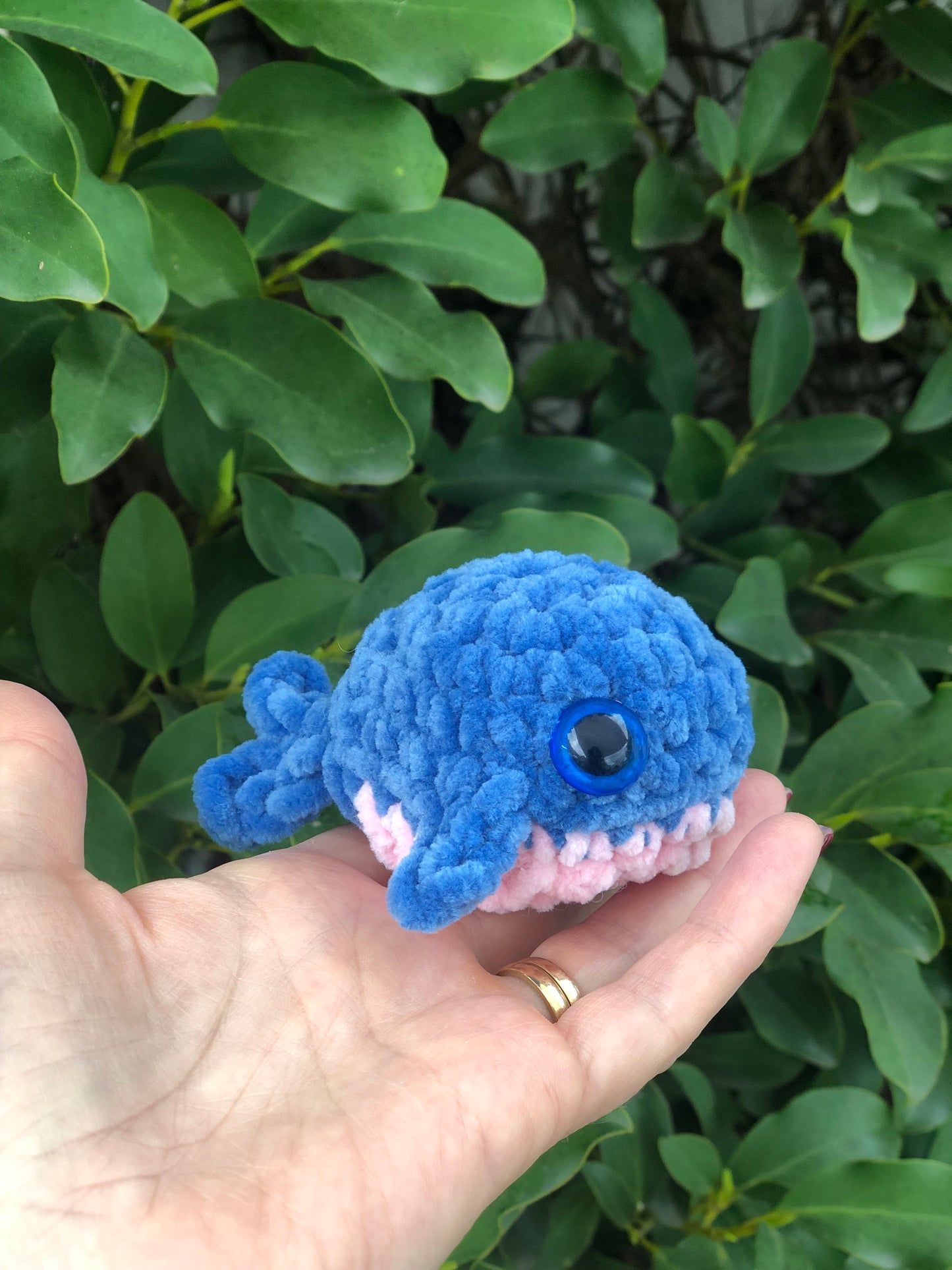 Crochet Class - Palmerston North Tuesday 10th June 1pm - 2:45pm