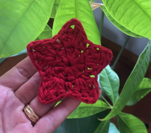 Crochet Christmas Star