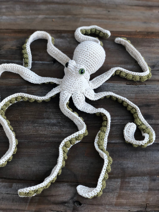 Small Octopus
